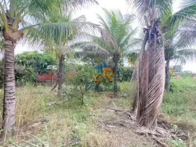 Lote / Terreno com 0 quartos em Bananal