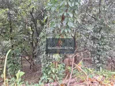 Lote / Terreno com 0 quartos em Castália, Cachoeiras de Macacu - 1265m²