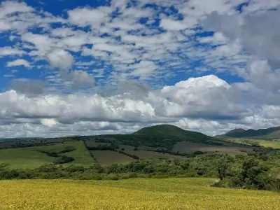  com 0 quartos em Caçapava do Sul, Caçapava do Sul - 0m²