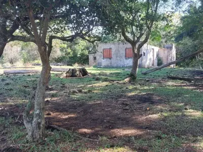  com 0 quartos em Zona rural, Caçapava do Sul - 32500m²