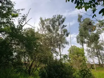 Chácara com 0 quartos em VALE DO ITAQUERI, CHARQUEADA - 1000m²