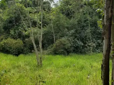 Chácara com 0 quartos em Vale do Itaqueri, Charqueada - 1000m²