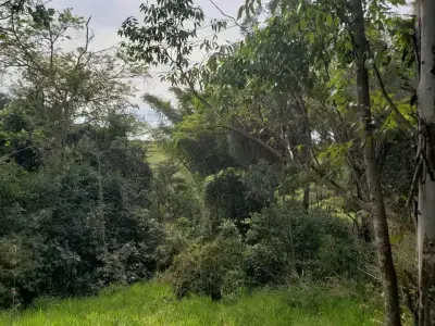 Imóveis em Vale do Itaqueri