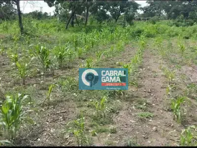 Lote / Terreno com 0 quartos em Modelo