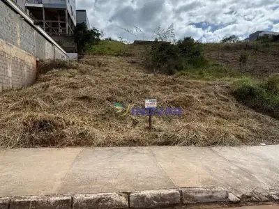 Lote / Terreno com 0 quartos em CIDADE UNIVERSITÁRIA