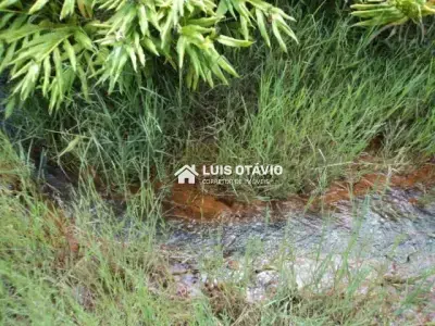 Lote / Terreno com 0 quartos em Zona Rural, Florestal - 20000m²