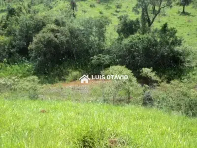 Lote / Terreno com 0 quartos em Zona Rural, Florestal - 40000m²