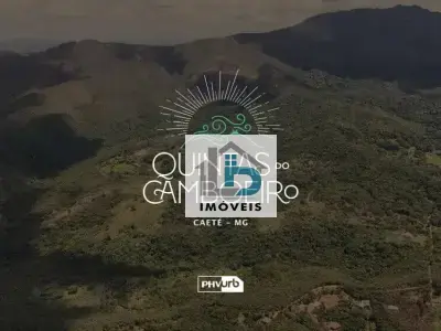 Lote / Terreno com 0 quartos em Área Rural