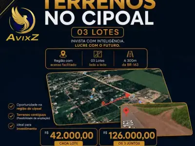 Lote / Terreno com 0 quartos em Cipoal, Santarém - 250m²