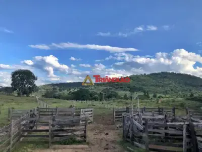 Fazenda com 0 quartos em Área rural, Confresa - 1m²