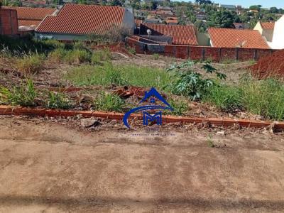 Lote / Terreno em Setor 7