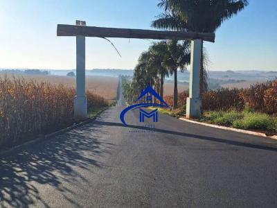 Imóveis em Zona Rural