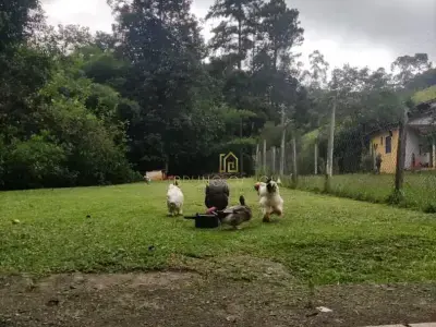  com 2 quartos em pouso alegre