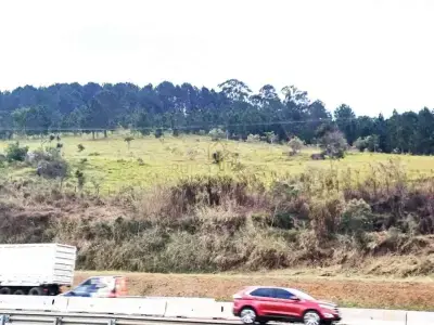 Área com 0 quartos em Rio Abaixo