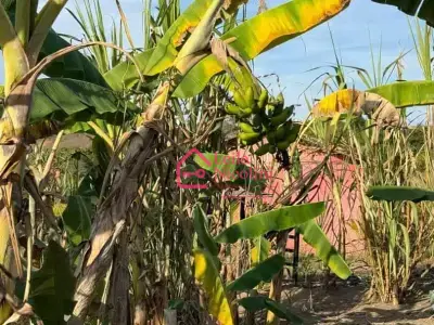 Lote / Terreno com 0 quartos em Santo cristo, Itueta - 600m²