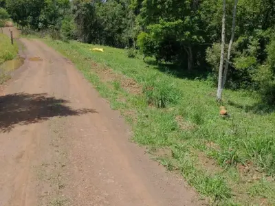 Chácara com 0 quartos em Centro