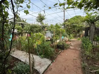 Casa com 3 quartos em Alvorada