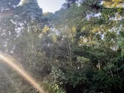 Chácara com 0 quartos em Palmital