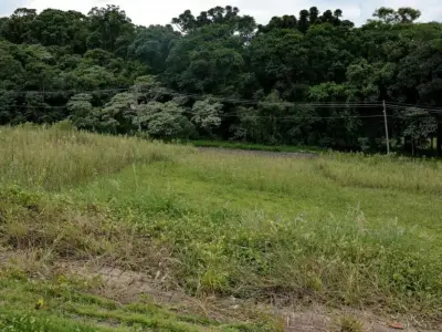 Lote / Terreno com 0 quartos em Maria Goretti