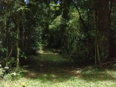 Lote / Terreno com 0 quartos em Centro