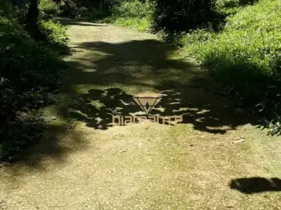 Imóveis em Mantiqueira