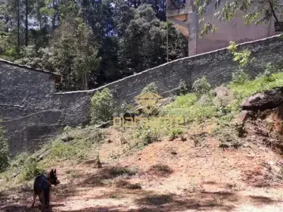 Chácara com 0 quartos em Mantiqueira