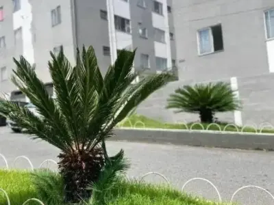 Apartamento com 2 quartos em Belo Vale