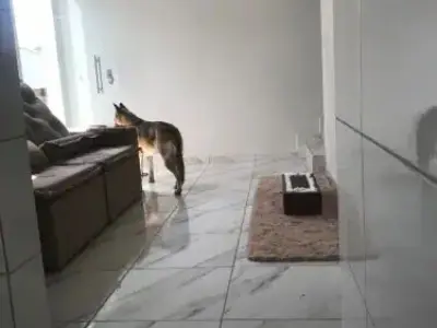 Casa Geminada com 2 quartos em Vale das Acácias