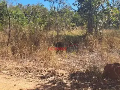 Lote / Terreno com 0 quartos em Almeida