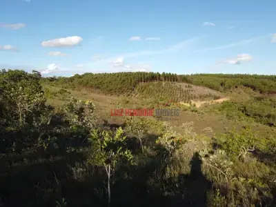 Fazenda com 0 quartos em Almeida
