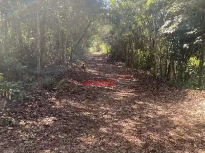Fazenda com 0 quartos em Zona Rural