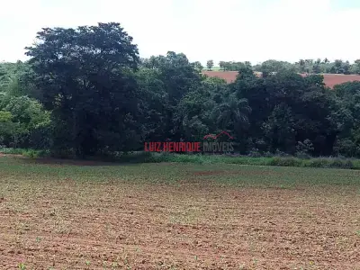 Lote / Terreno com 1 quartos em São José de Almeida