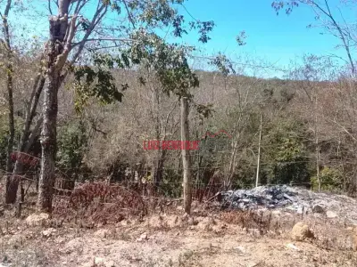 Lote / Terreno com 0 quartos em Cond. Caminho da Serra