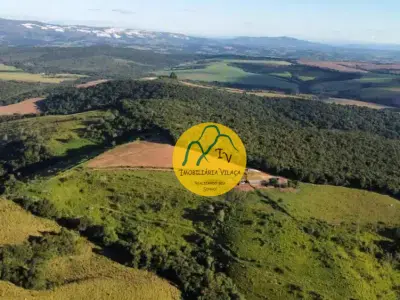 Sítio com 0 quartos em Zona Rural, Luminárias - 175000m²