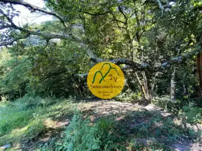 Lote / Terreno com 0 quartos em Zona Rural, Luminárias - 50m²