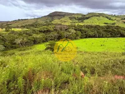 Lote / Terreno com 0 quartos em Zona Rural, Luminárias - 10000m²