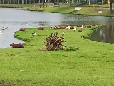 Chácara com 3 quartos em Terras de Itaici