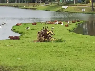Chácara com 3 quartos em Terras de Itaici
