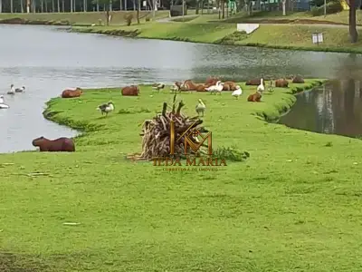 Chácara com 3 quartos em Terras de Itaici