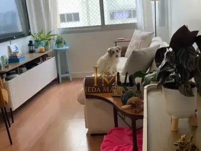 Apartamento com 2 quartos em Cidade Monções
