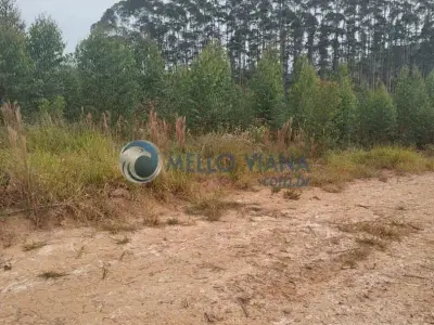 Fazenda com 3 quartos em Zona Rural, CRUZÍLIA - 300m²