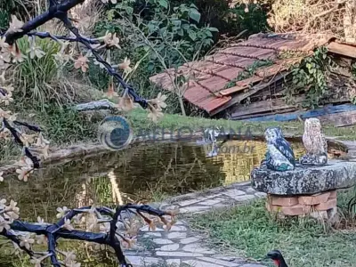 Sítio com 3 quartos em Serra da Paula, BAEPENDI - 200m²