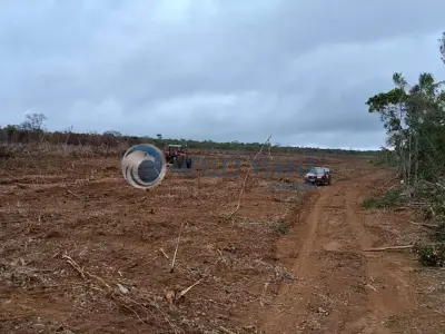 Fazenda com 2 quartos em Zona Rural, PEDRA AZUL - 500m²