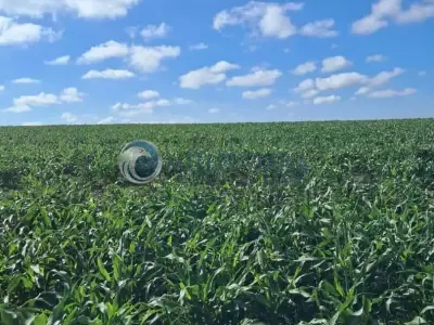 Fazenda com 0 quartos em Cristais/Boa Esperança, CRISTAIS - 0m²
