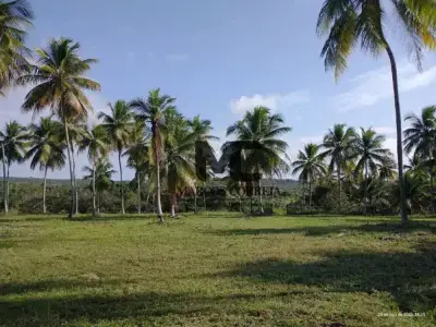 Fazenda com 0 quartos em Zona Rural, Conde - 200m²