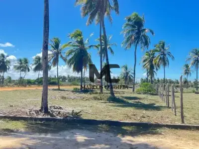 Lote / Terreno com 0 quartos em Sítio do Conde, Conde - 2245m²