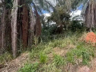 Imóveis em Roças Novas