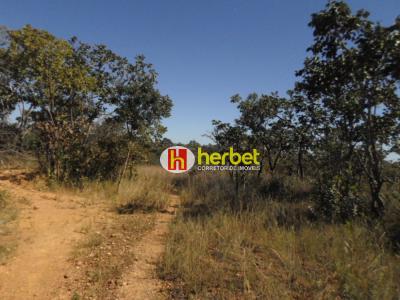 Lote / Terreno com 0 quartos em Quintas Dos Palmares