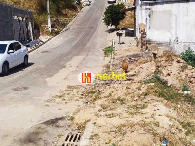 Lote / Terreno com 0 quartos em Santa Maria