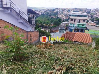 Lote / Terreno com 0 quartos em Santa Maria